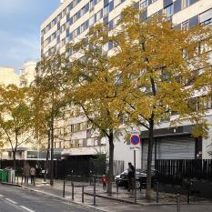 L'arbre numéro 252813 est un Noyer (Juglans nigra) de 8 mètres de haut et 65 cm de circonférence.
Il est situé N°167 rue Blomet Paris 15ème arrondissement (coordonnées GPS 48.8373, 2.29383)
L'arbre numéro 252934 est un Noyer (Juglans nigra) de 12 mètres de haut et 80 cm de circonférence.
Il est situé N°167 rue Blomet Paris 15ème arrondissement (coordonnées GPS 48.83733, 2.29388)
L'arbre numéro 252738 est un Noyer (Juglans nigra) de 8 mètres de haut et 60 cm de circonférence.
Il est situé N°167 rue Blomet Paris 15ème arrondissement (coordonnées GPS 48.83742, 2.29403)
L'arbre numéro 252990 est un Noyer (Juglans nigra) de 10 mètres de haut et 80 cm de circonférence.
Il est situé N°165 rue Blomet Paris 15ème arrondissement (coordonnées GPS 48.83749, 2.29412)